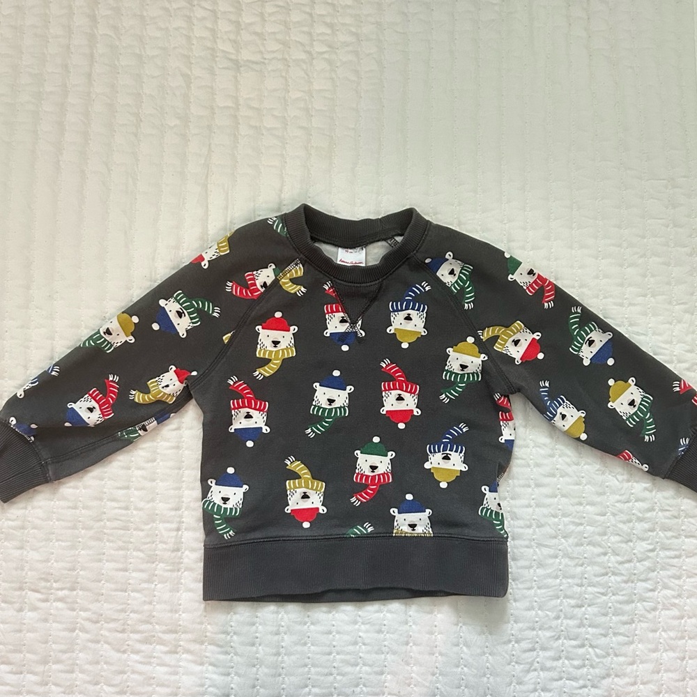Sz 3T Hanna Andersson Sweatshirt